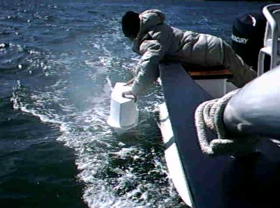 cab 13 test.jpg