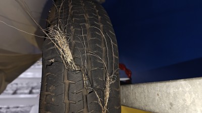IMG_20250714_073317063.jpg