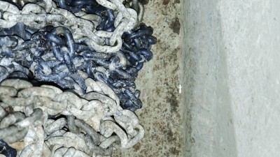 IMG_20250717_161830051.jpg